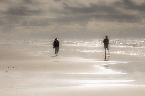 Texel