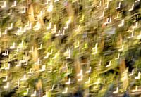 Abstract lichtjes