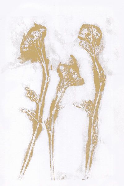 Three flowers in retro style. Modern botanical minimalist art in yellow and white by Dina Dankers