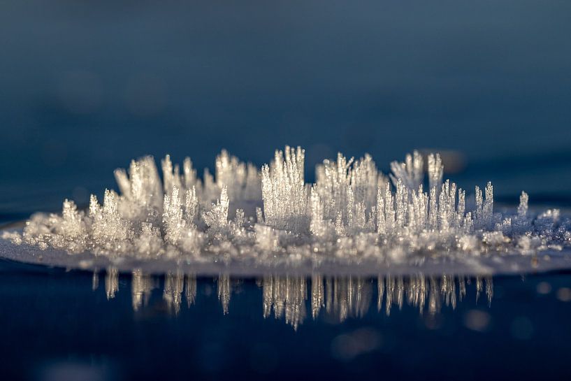 Eisinsel von Frans-Jan Snoek
