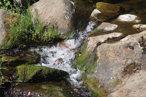 Water always finds its way in the stream