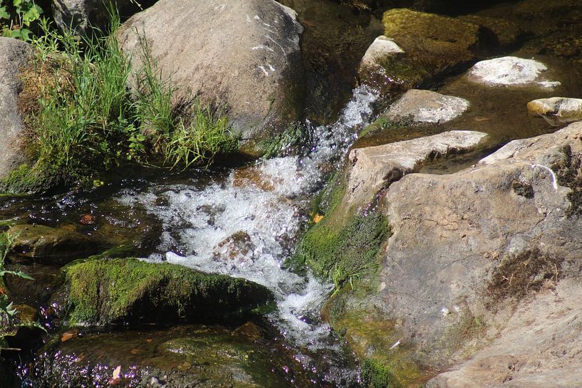 Water always finds its way in the stream van Patrick van beek76