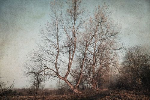 Fotografie of schilderkunst?