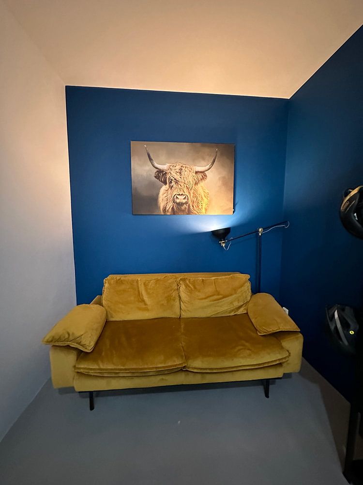 Scottish Highland Cow  by Diana van Tankeren 