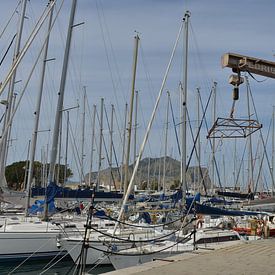 La Cala - alter Hafen von Palermo von Silva Wischeropp