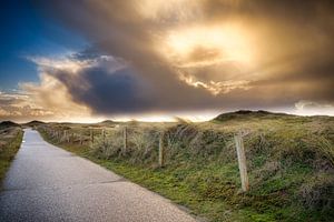 Hollandse duinen van eric van der eijk