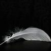 Elegy van Jenny de Groot