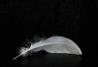 Elegy