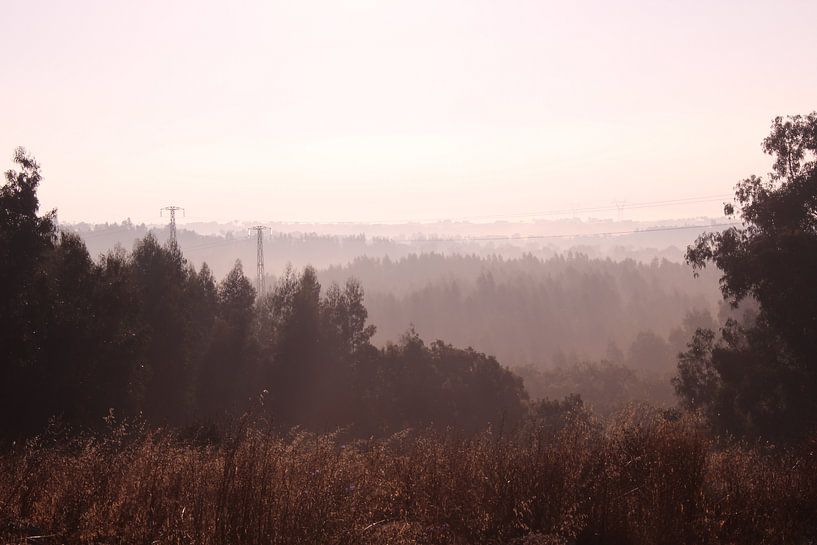Misty sunrise at the countryside in the Algarve, Portugal by Deborah S