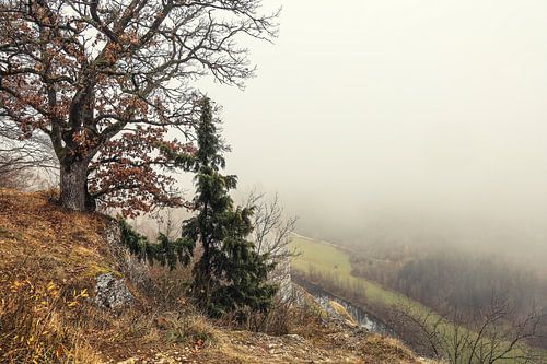 Uitzicht vanaf het uitkijkpunt Burgstall boven Fridingen in de mistige Donauvallei - Natuurpark Opper-Donau