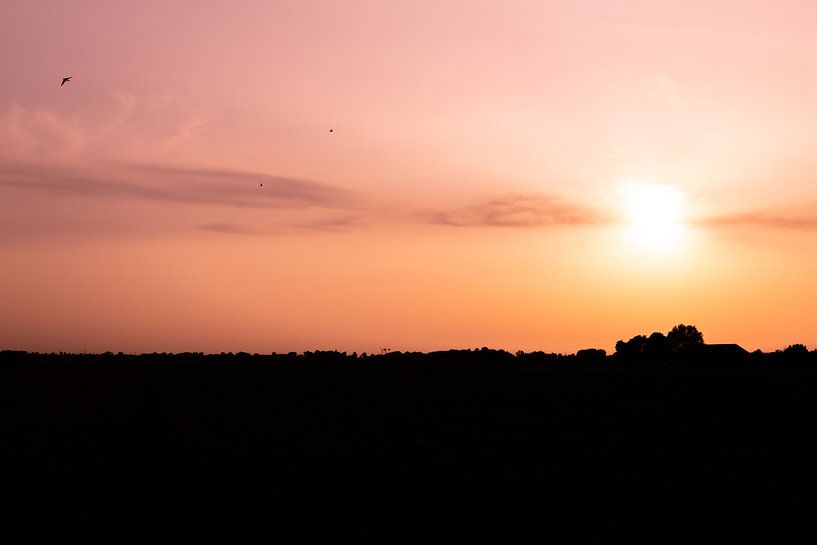 Silhouette van Daniel Houben