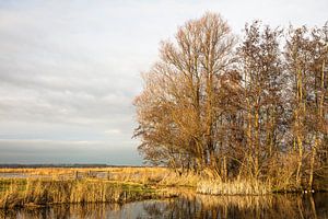 Uitzicht over Purmer van Johan Zwarthoed