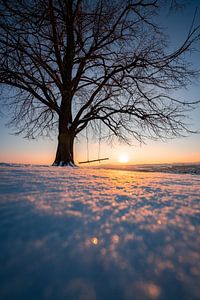 Sonnenuntergang an einem Baum mit Schaukel im Winter von Leo Schindzielorz