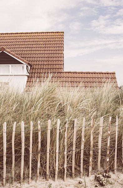 House by the Sea by Patrycja Polechonska