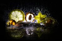 Obst im Nebel
