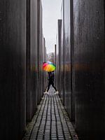 Rainbow umbrella at the Holocaust memorial.