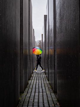Rainbow umbrella at the Holocaust memorial. van Vincent Bottema