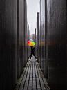 Rainbow umbrella at the Holocaust memorial. van Vincent Bottema thumbnail