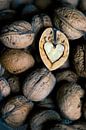 het hart van een walnoot von Marga Goudsbloem Miniaturansicht