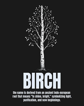 Minimalistisches Poster mit Birken-Strichzeichnung – Black Edition
