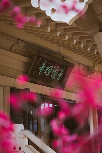 De Spirituele Tempels van Tokyo: Vensters op de Japanse Ziele