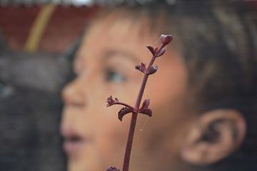 plant met gezicht van kind op het achtergrond by Gerrit Neuteboom
