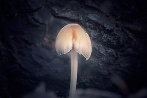 Im Dunkeln leuchten