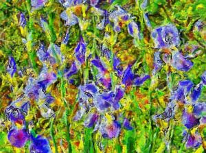 Eindrucksvolle Iris