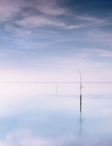 Mâts de filet de pêche dans le lac de Veere par Jos Reimering