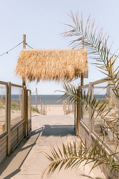Klaar om naar het strand te gaan? | Noordwijk | Nederland