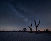 Galaxy on the Veluwe