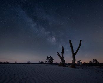 Galaxie auf der Veluwe