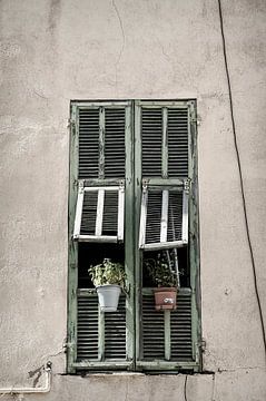 Window with shutters