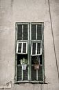 Fenster mit Fensterläden von Anouschka Hendriks Miniaturansicht