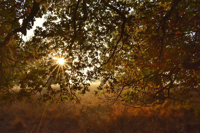 Sonniger und bunter Herbst von Stefan Wiebing Photography