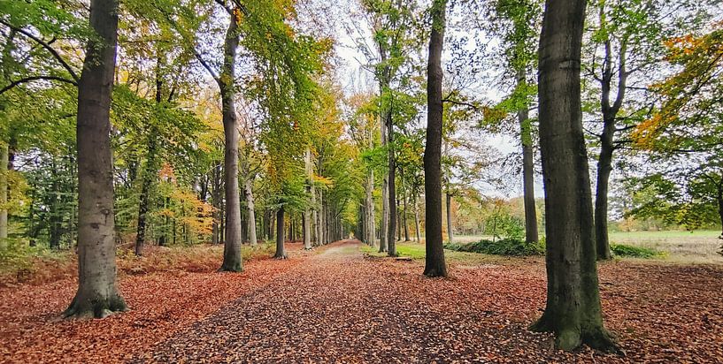 Pietersheim Lanaken by Goldeneyes