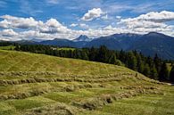 Zuid-Tirol - Hooioogst met het oog op de Peitlerkofel van Reiner Würz / RWFotoArt thumbnail