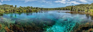 Pupu Springs, Golden Bay, NZ, Nieuw-Zeeland van Pascal Sigrist - Landscape Photography