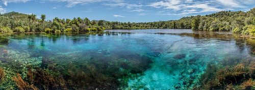 Pupu Springs, Golden Bay, NZ, Nieuw-Zeeland