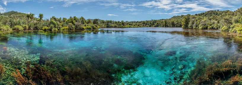 Pupu Springs, Golden Bay, NZ, Neuseeland von Pascal Sigrist - Landscape Photography