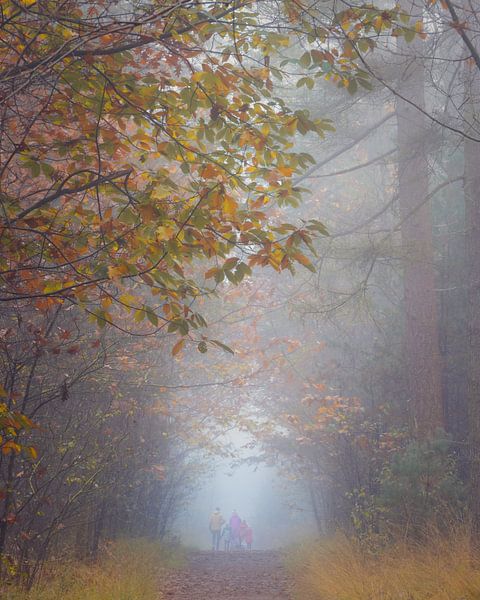 Living Colors by Bob Vandenberg