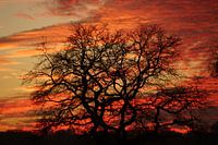 Coucher de soleil