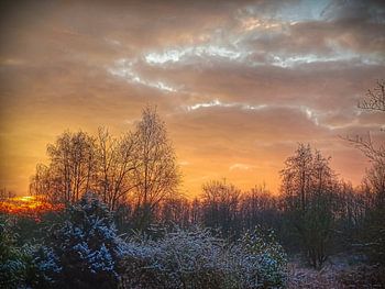 Orangefarbener Morgen