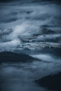 foggy mornings van Dylan Shu