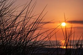 Coucher de soleil à couper le souffle dans les dunes de Zingst à la mer Baltique