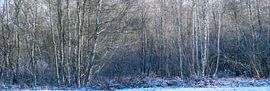 Panoramafoto einer Moorlandschaft im Winter von Ralf Gosch