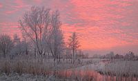 winter glow by Martijn Verhulsdonck thumbnail
