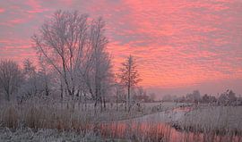 winter glow von Martijn Verhulsdonck