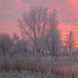 winter glow by Martijn Verhulsdonck