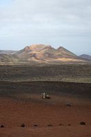 Lanzarote